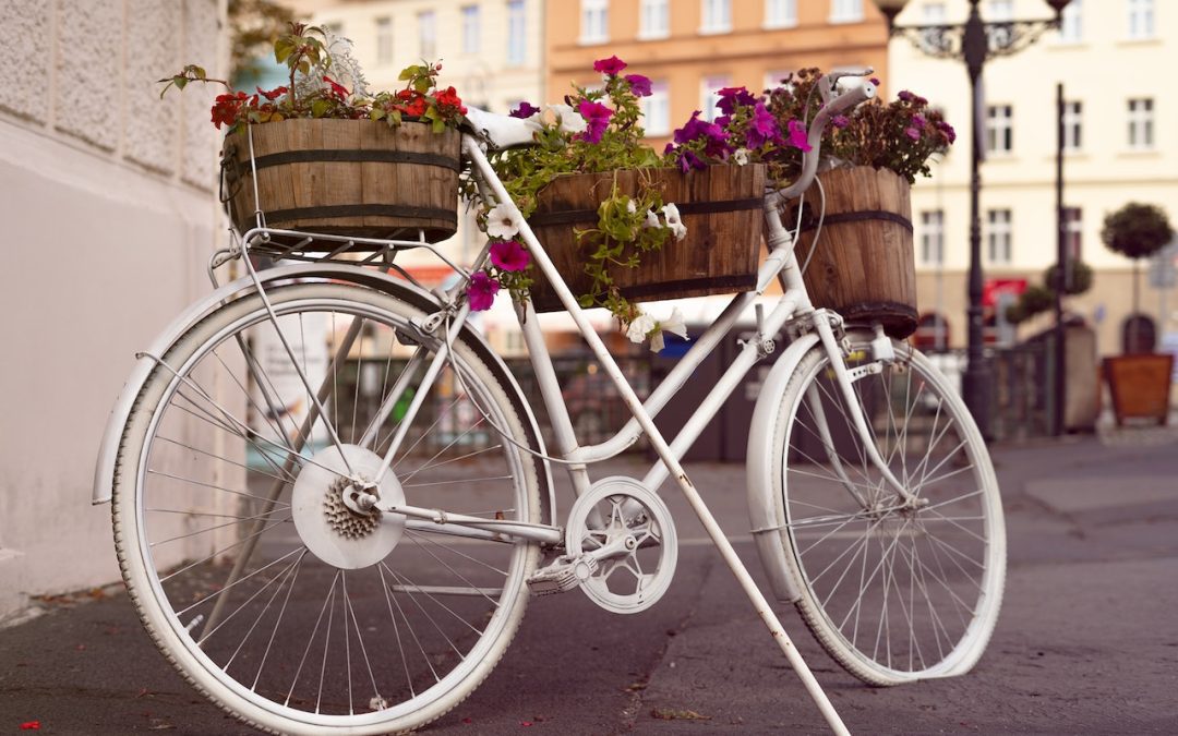 Cykelns dag i Rosendal
