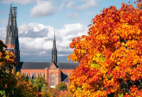 Uppsala domkyrka