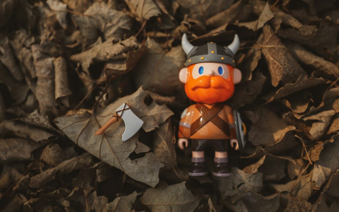 Vikingaskola: Sant eller falskt om vikingatiden