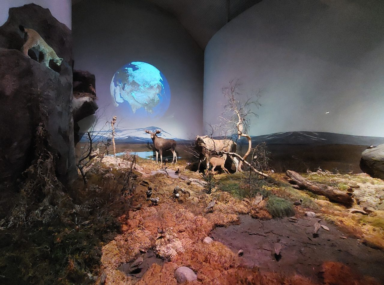 Biotopia - Barn i Uppsala