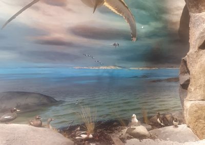 Utställning Biotopia