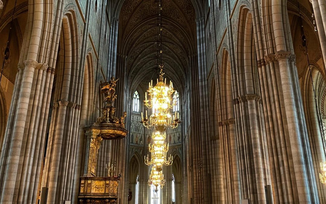 Familjevisning: Domkyrkospanarna