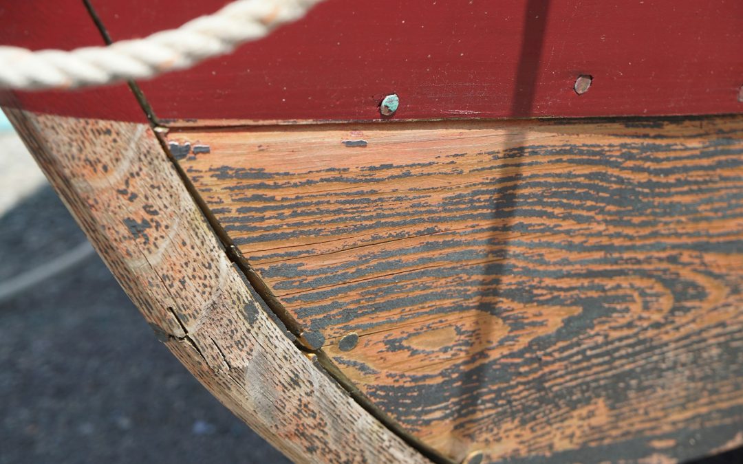 Prova roddbåtar i Hammarskog