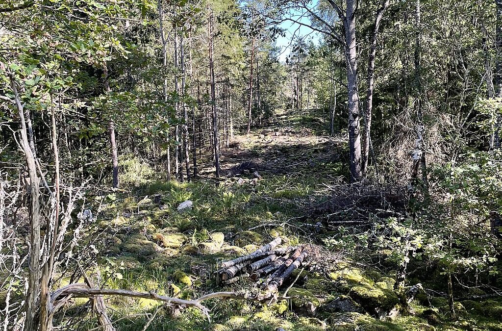 Guidad vandring till Predikstolens fornborg i Hågadalen