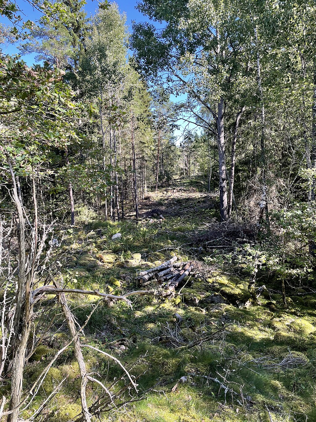 Predikstolen Fornborg i uppland