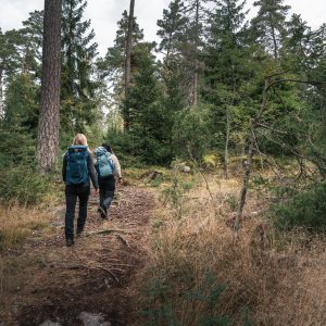 Två personer som vandrar längs en skogsstig