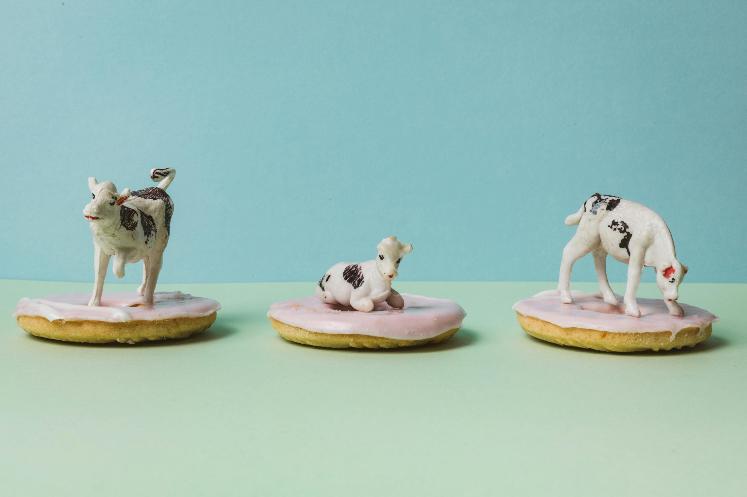 Tre små svartvita prydnadskor