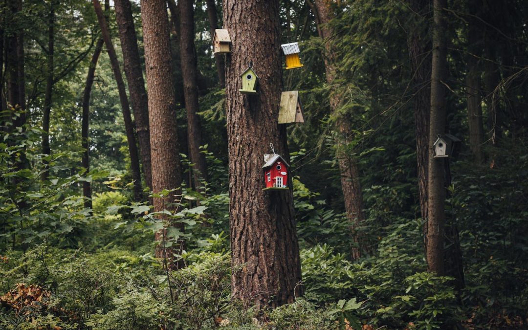 Holkveckor på Biotopia