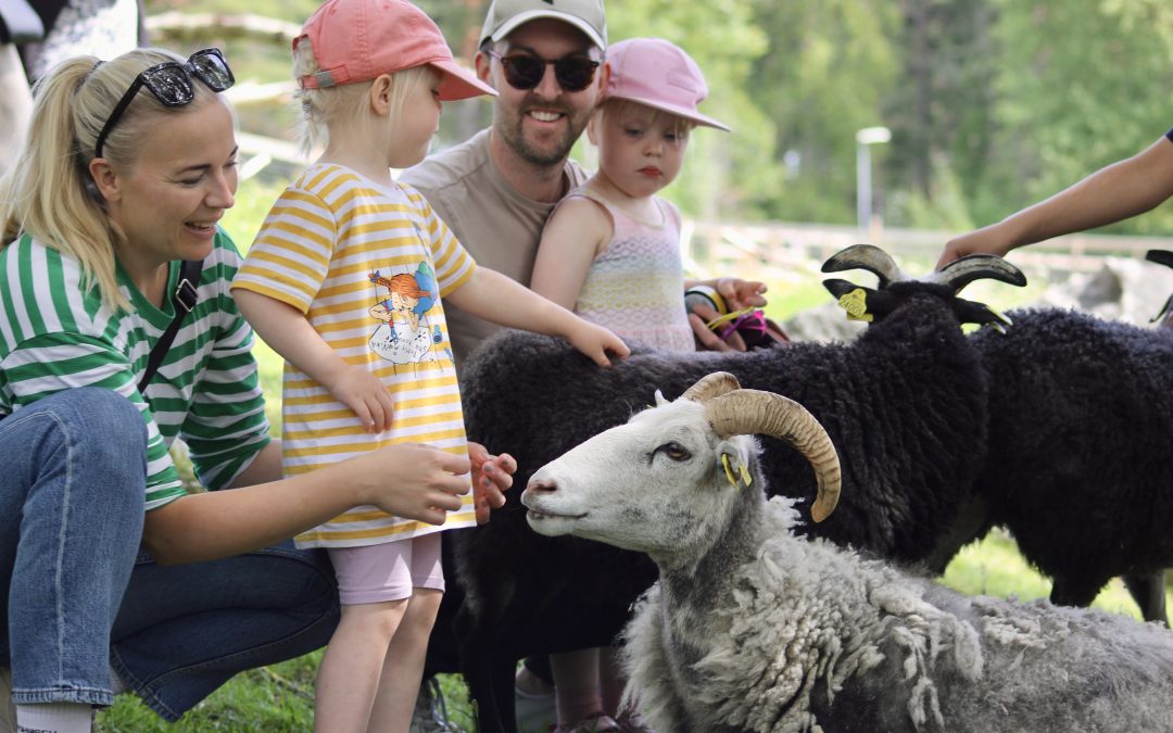Fira 4H-dagen på Gränby 4H-gård