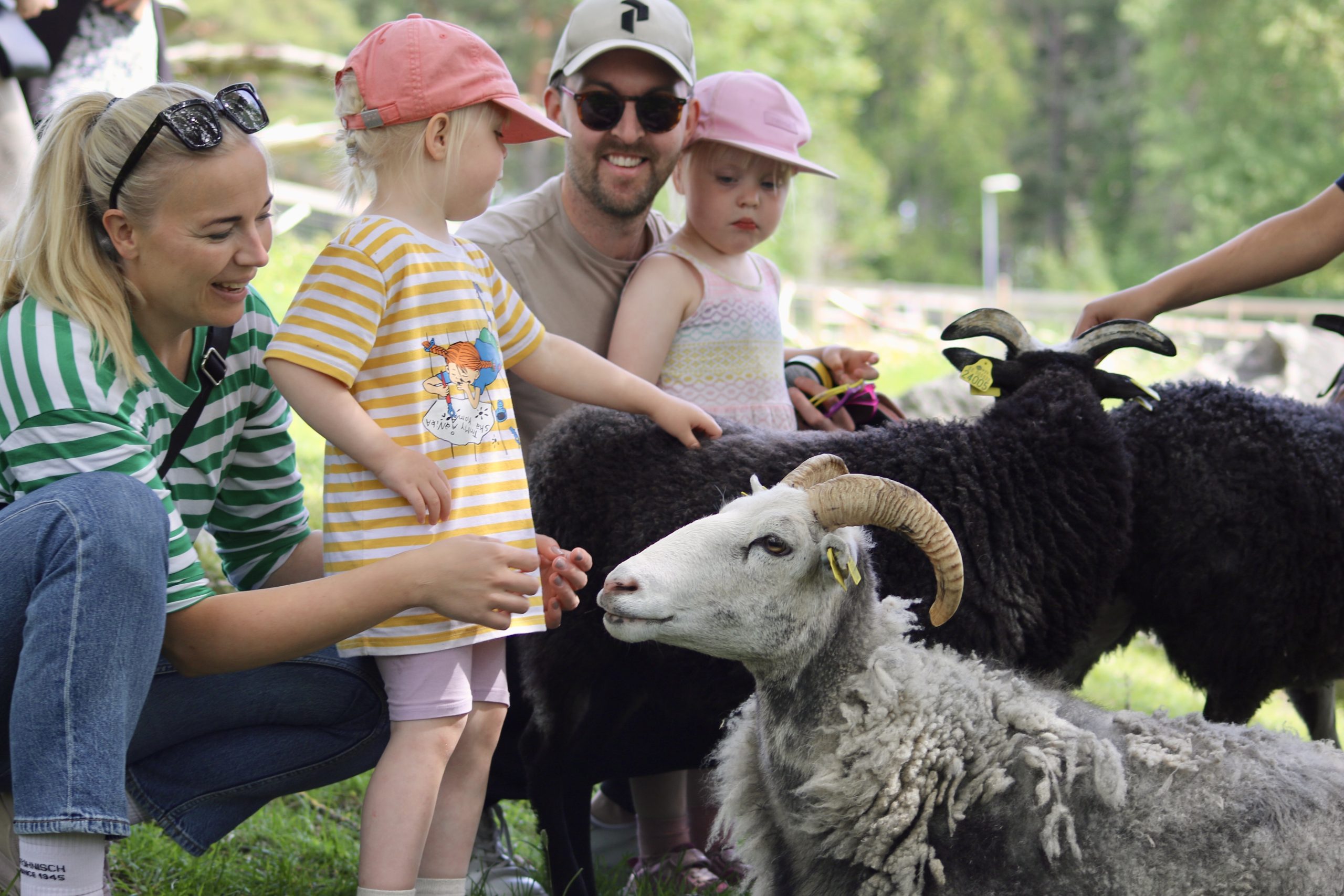 Barnfamilj som klappar får.