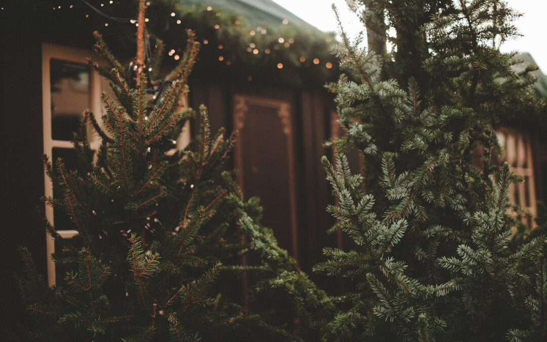 Julmarknad i Blå Wingen