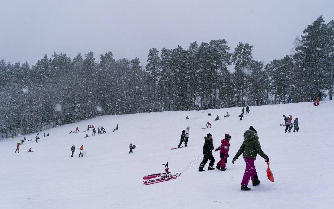Jullov: Utflykt till Sunnersta friluftsområde