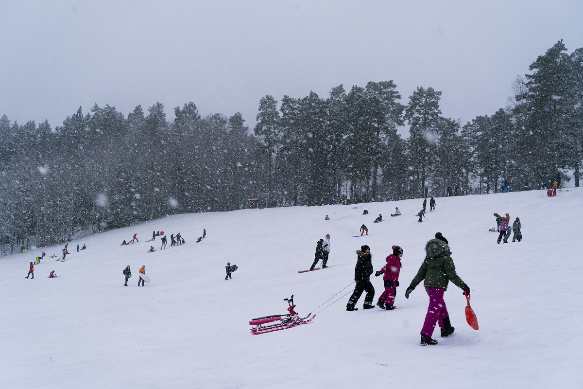 Bild på en pulkabacke där människor åker pulka.