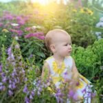 Bild på en bebis som sitter ute i naturen omringad av växter och blommor med solljus bakom sig.