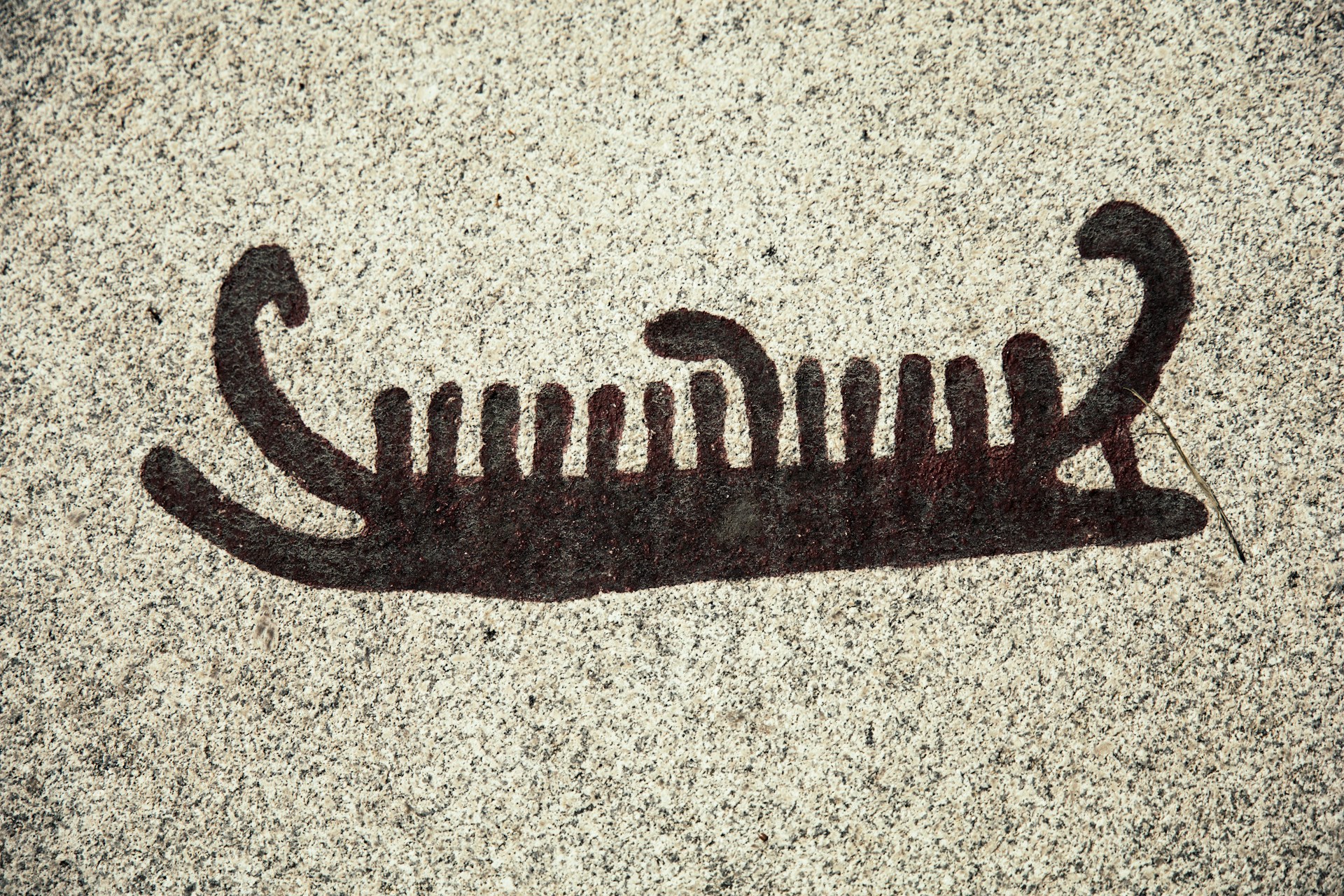 Bild på en typ av hällristning.