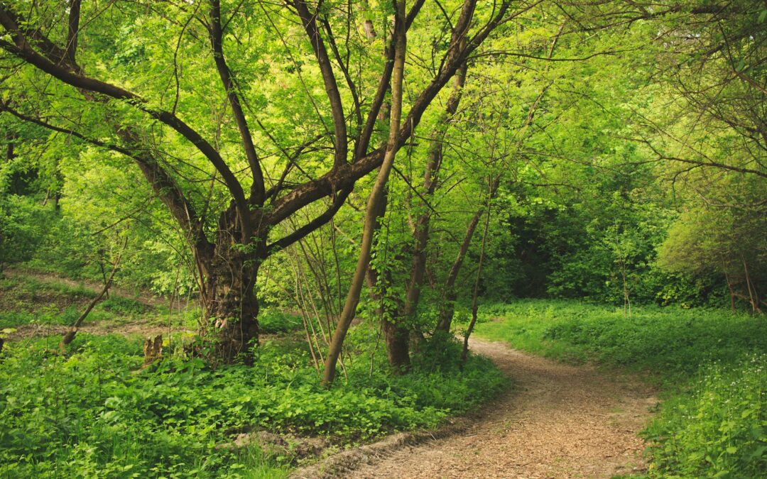 Prova på vandring längs Salstaleden