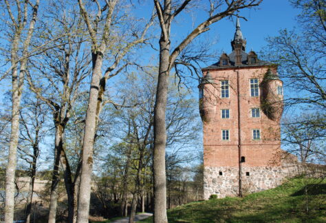 Wiks slott med några träd i förgrunden.