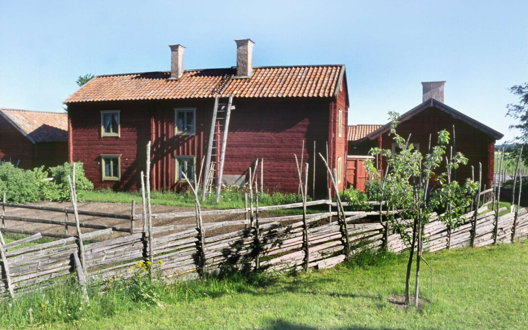 Disagården öppnar