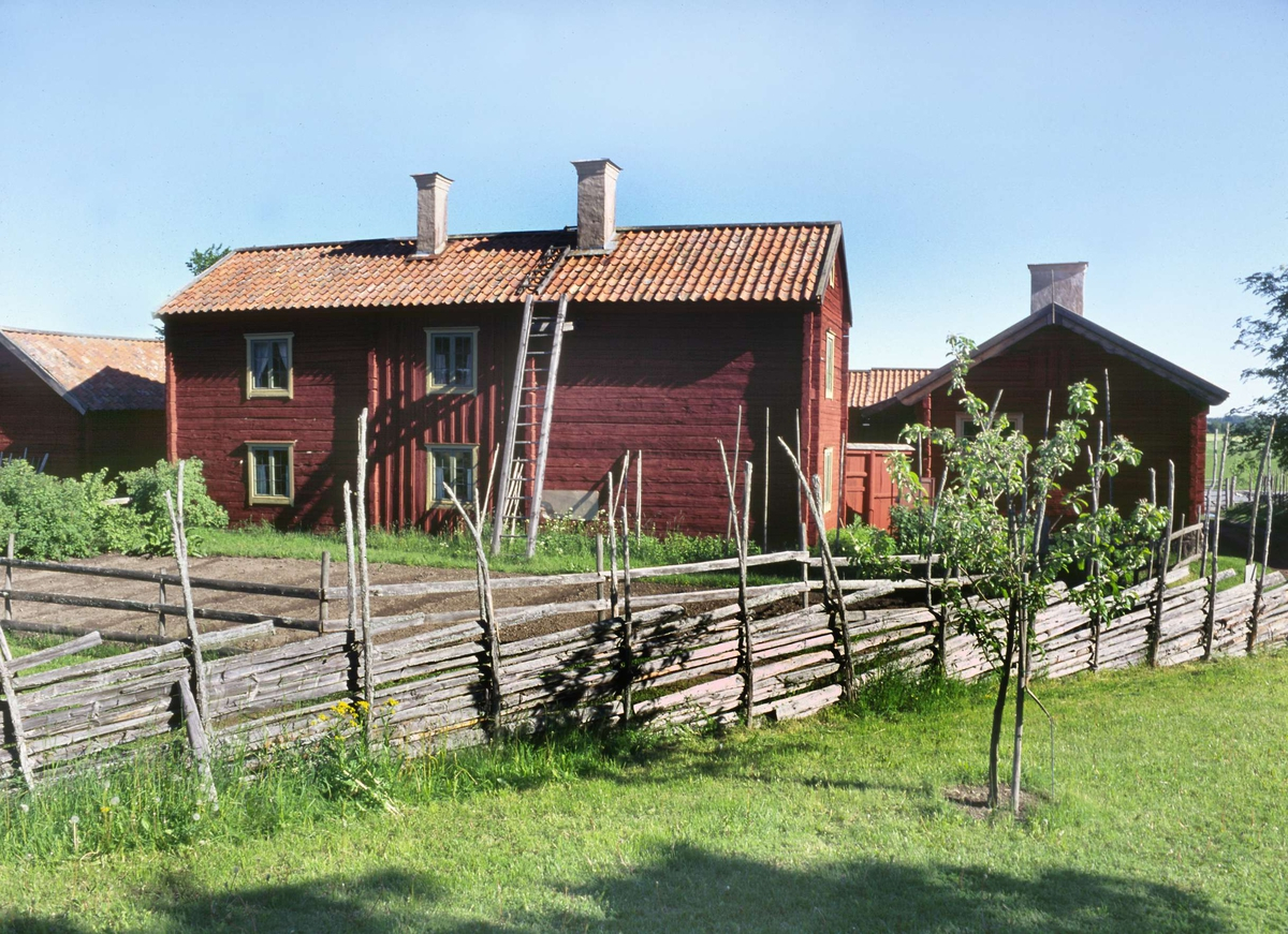 Nyvlastugan, friluftsmuseet Disagården, Gamla Uppsala, från bygatan.