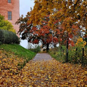 Uppsala slott, som det ser ut på hösten.
