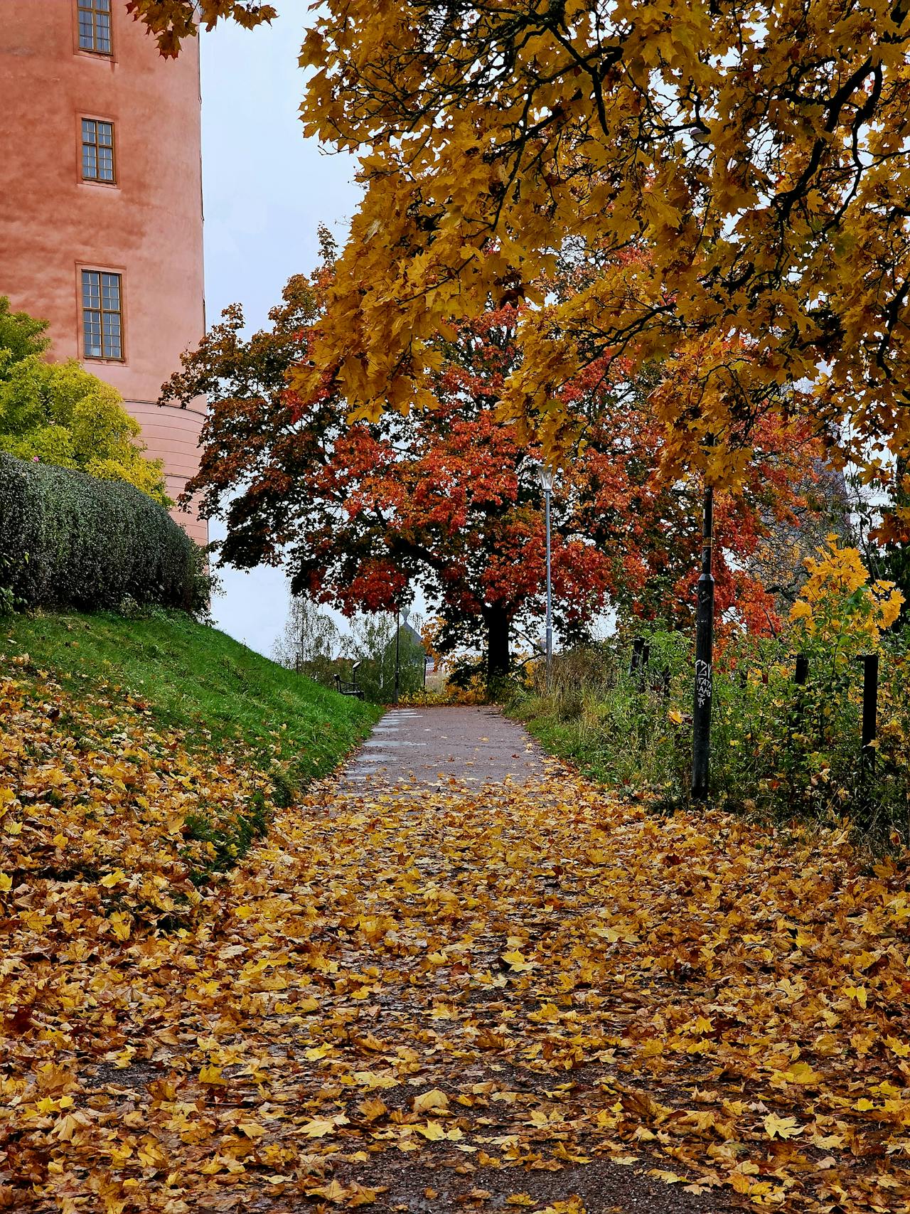 Uppsala slott, som det ser ut på hösten.