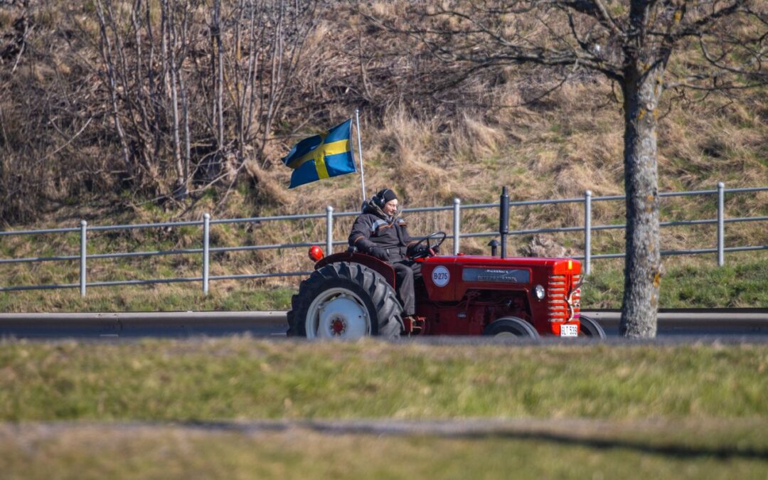 Traktorrace 2026 Stavby