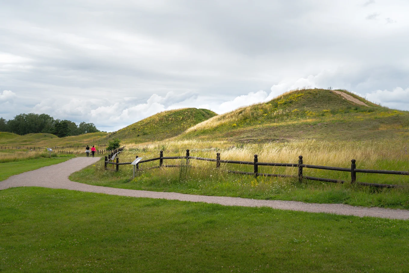 Gamla Uppsala, Kungahögarna