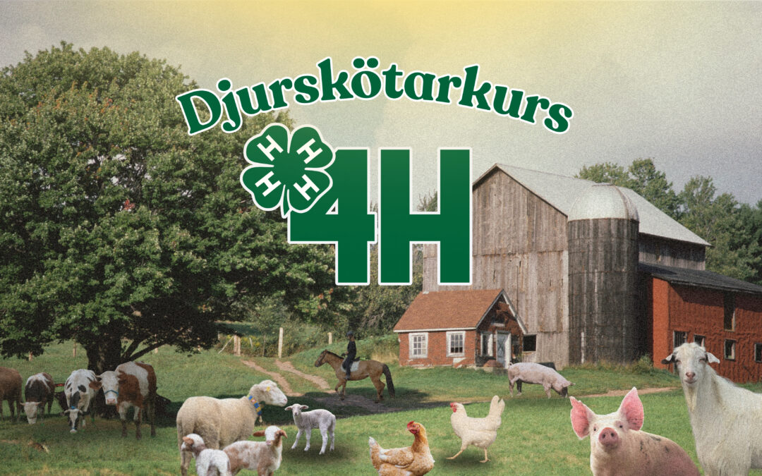 Djurskötarkurs Gränby 4H-gård