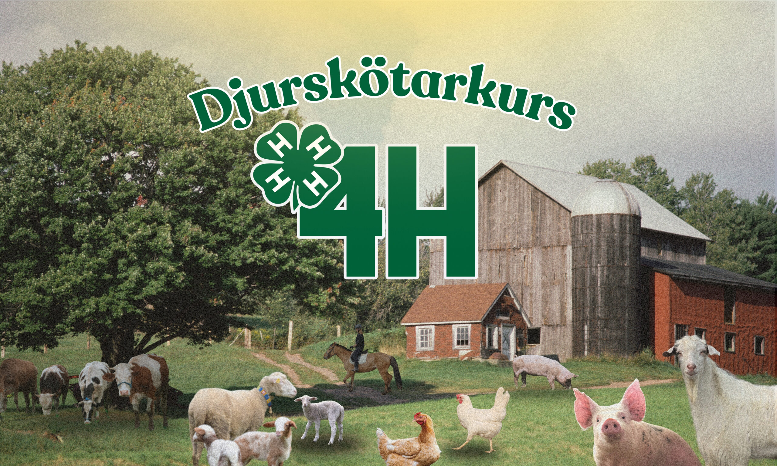 Kollage bild av en gård med olika djur, 4h logga i grönt med texten djurskötarkurs