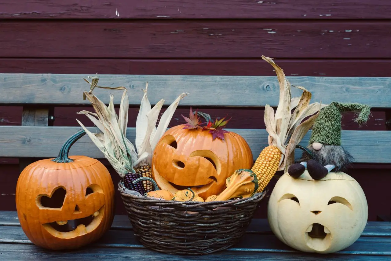 Halloween pumpor med pyssling